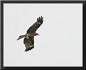 CLICK to enlarge image # 4