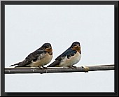 CLICK to enlarge image # 5
