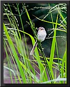 CLICK to enlarge image # 6