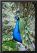 CLICK to enlarge image # 7
