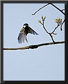 CLICK to enlarge image # 10