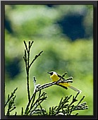 CLICK to enlarge image # 12