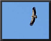 CLICK to enlarge image # 14