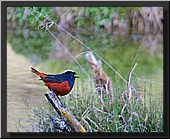 CLICK to enlarge image # 18
