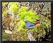 CLICK to enlarge image # 19