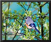 CLICK to enlarge image # 21