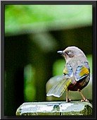 CLICK to enlarge image # 22