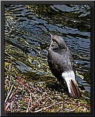 CLICK to enlarge image # 23
