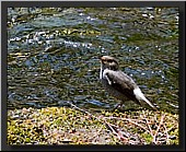 CLICK to enlarge image # 24