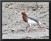 CLICK to enlarge image # 27