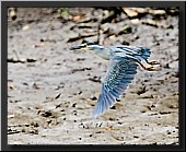 CLICK to enlarge image # 28