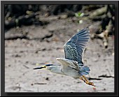 CLICK to enlarge image # 29