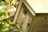 CLICK to enlarge image

Image ID: CRW_2967-400