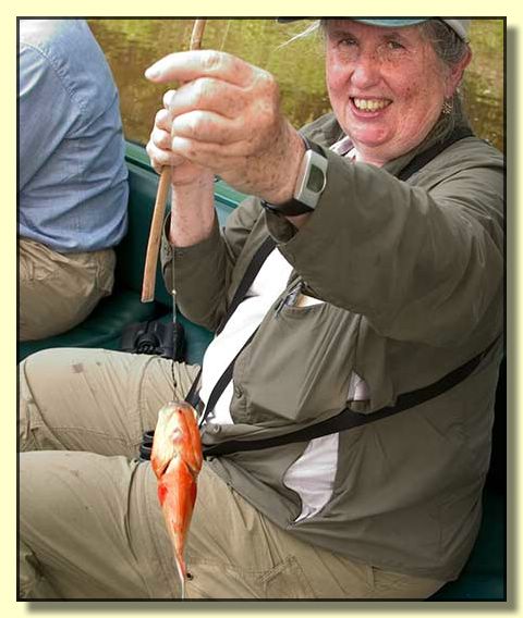 Image # 340, filename CRW_4357
