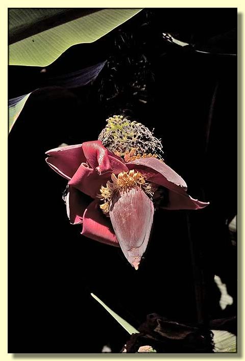 Image # 141, filename CRW_4484
