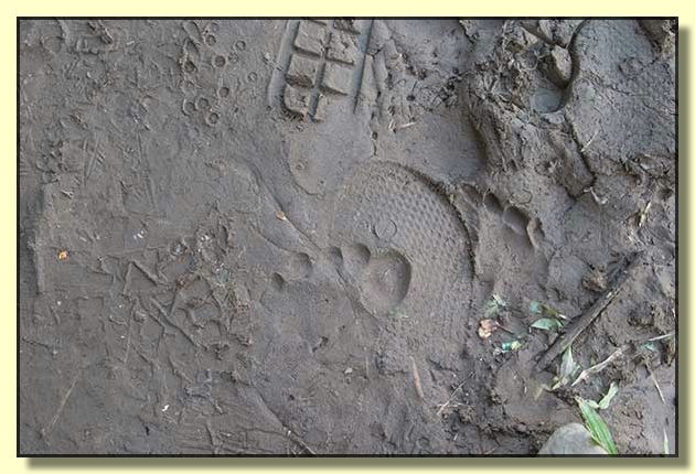 Image # 208, filename CRW_4673
