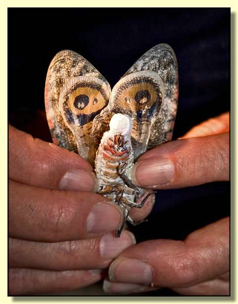 Image # 124, filename CRW_4828
