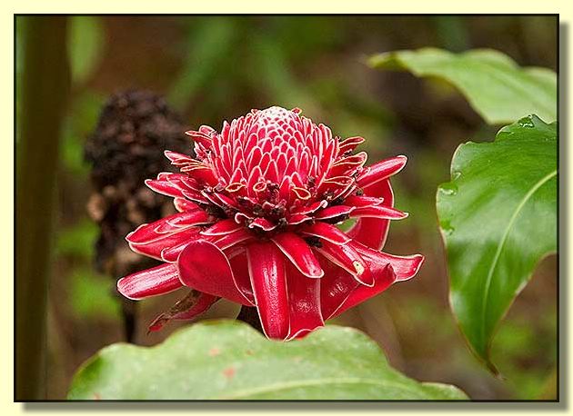 Image # 139, filename CRW_4985
