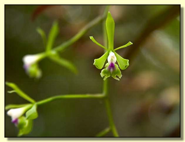 Image # 137, filename CRW_5009
