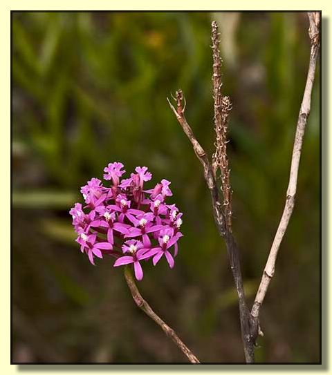 Image # 138, filename CRW_5675
