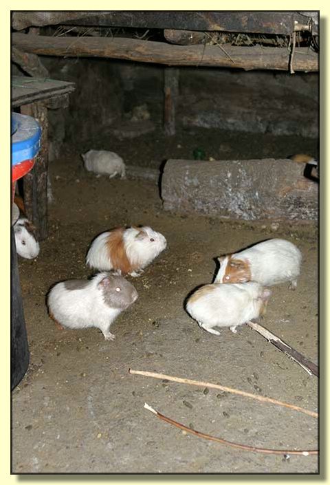 Image # 261, filename IMG_5534
