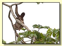 CLICK to enlarge image # 88