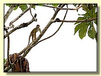 CLICK to enlarge image # 91
