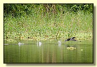 CLICK to enlarge image # 11