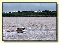 CLICK to enlarge image # 86