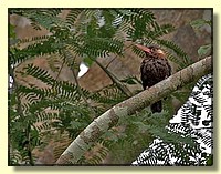 CLICK to enlarge image # 21
