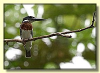 CLICK to enlarge image # 22
