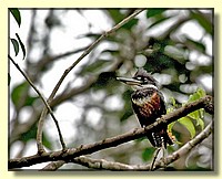 CLICK to enlarge image # 23