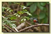 CLICK to enlarge image # 24