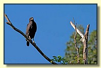 CLICK to enlarge image # 40