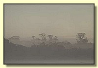CLICK to enlarge image # 75