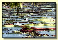CLICK to enlarge image # 70