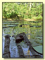 CLICK to enlarge image # 100
