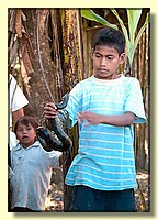 CLICK to enlarge image # 171