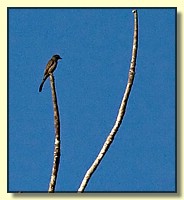 CLICK to enlarge image # 68