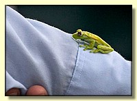 CLICK to enlarge image # 114