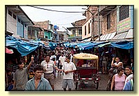 CLICK to enlarge image # 229