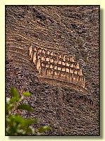 CLICK to enlarge image # 269