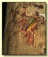 CLICK to enlarge image # 134