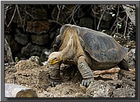 CLICK to enlarge image # 12