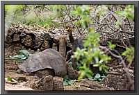 CLICK to enlarge image # 13