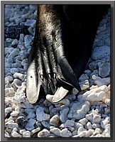 CLICK to enlarge image # 8
