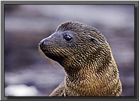 CLICK to enlarge image # 5