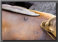 CLICK to enlarge image # 7