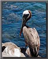 CLICK to enlarge image # 16