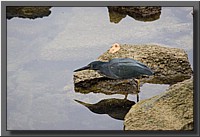 CLICK to enlarge image # 18